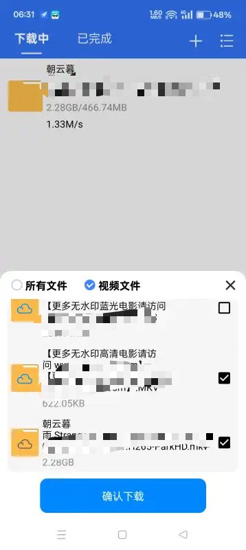 飞流下载器|最新纯净破解激活版免费下载-图片3