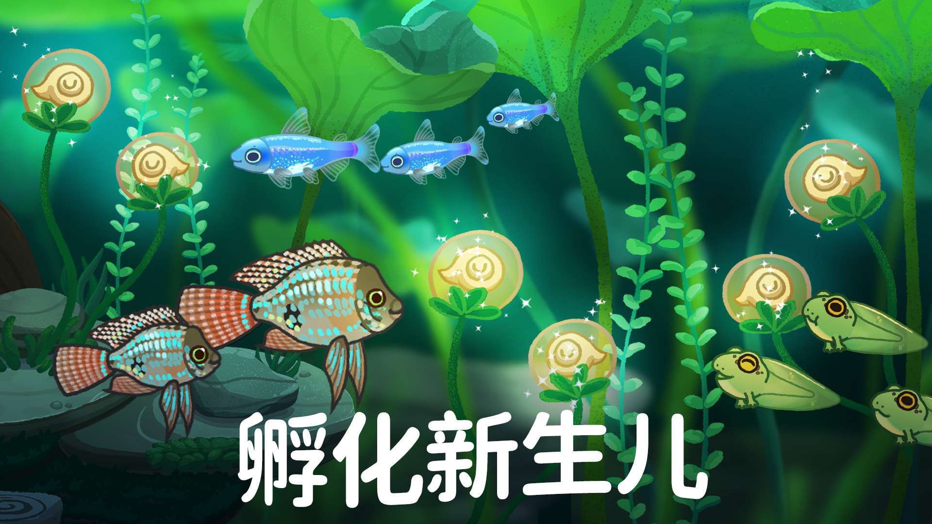 池趣|最新纯净破解激活版免费下载-图片3