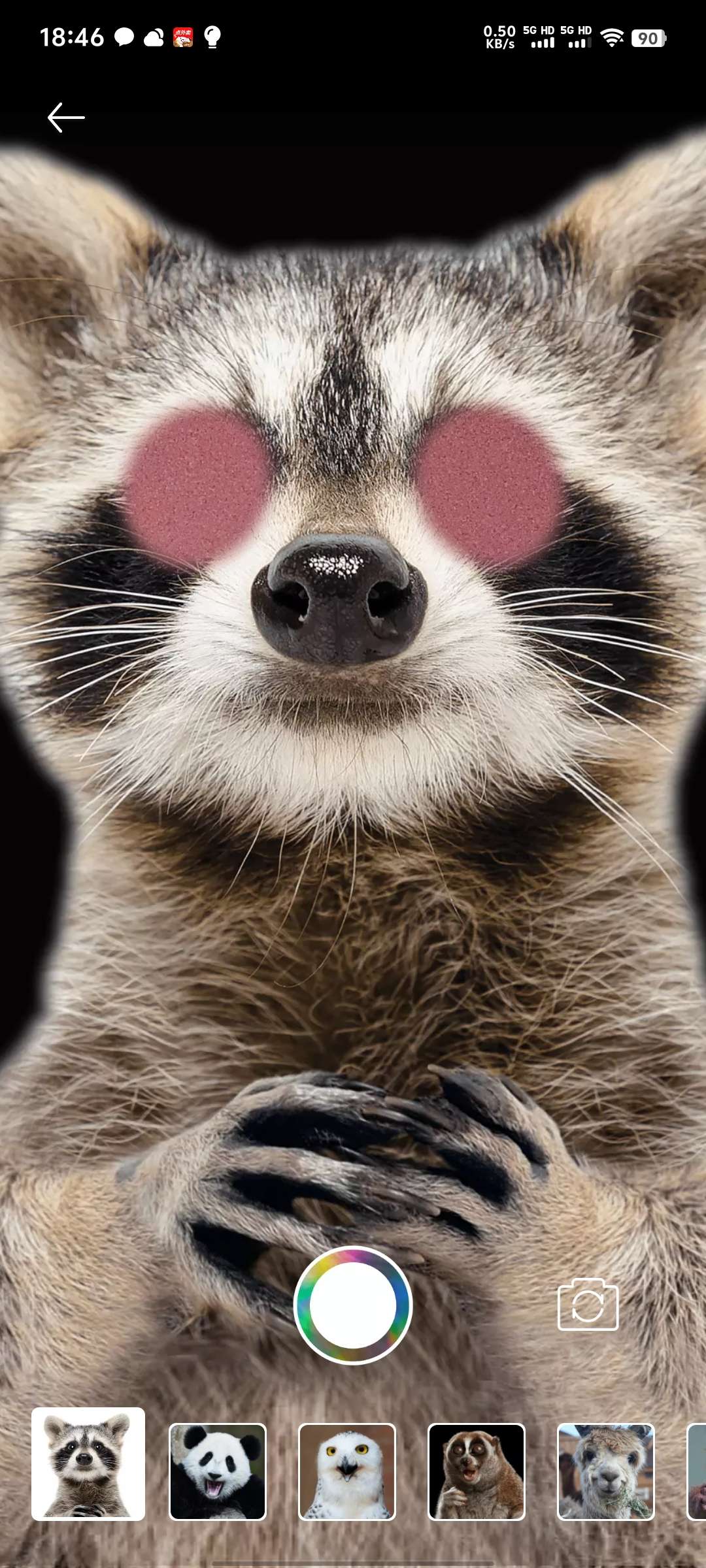 Toonpics|最新纯净破解激活版免费下载