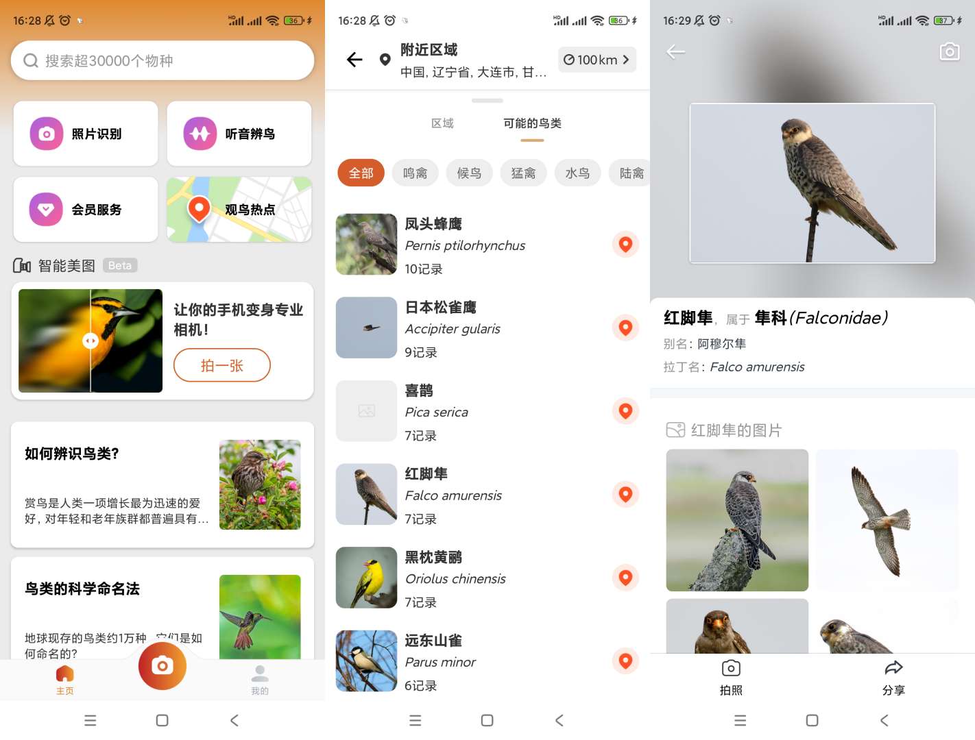 拍照识鸟|最新纯净破解激活版免费下载