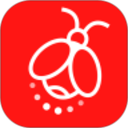 火萤动态壁纸 纯净版|最新纯净破解激活版免费下载