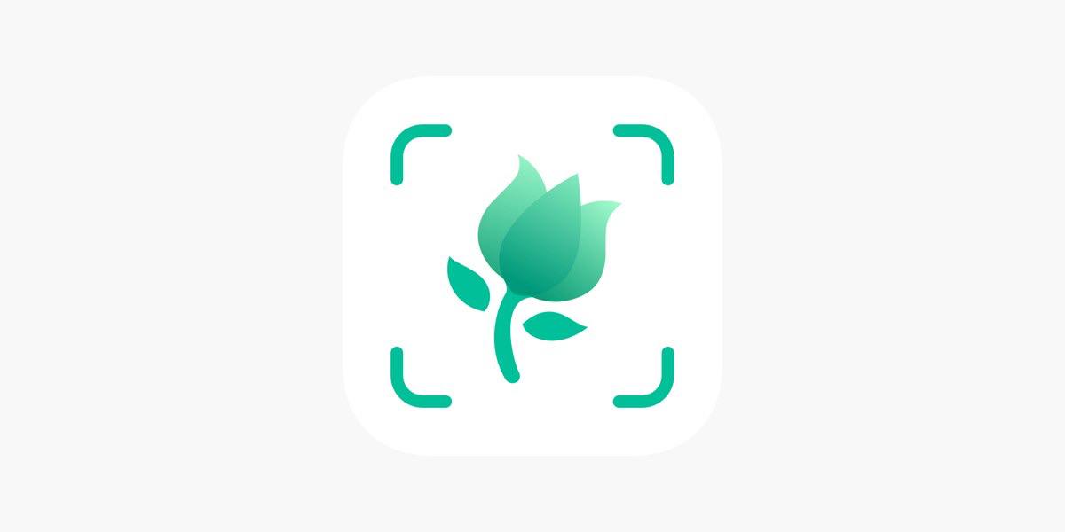 Picture this植物识别|最新纯净破解激活版免费下载