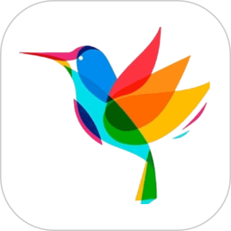 小鸟壁纸 纯净版|最新纯净破解激活版免费下载