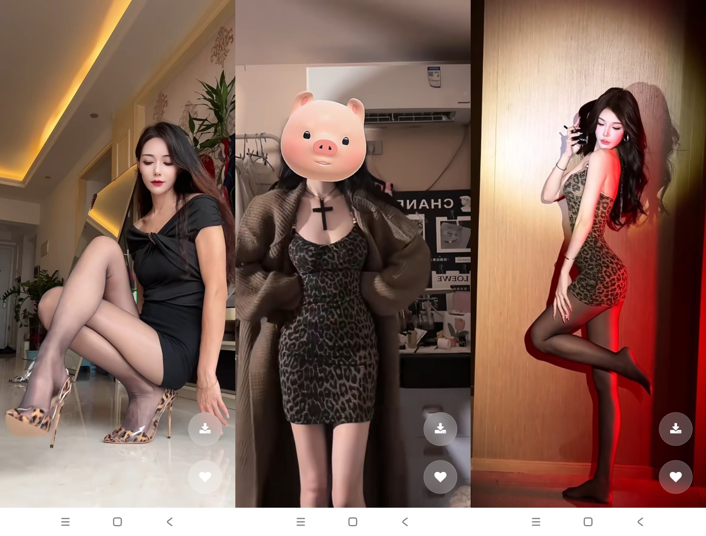 黯笙爱看豹纹姐姐|最新纯净破解激活版免费下载