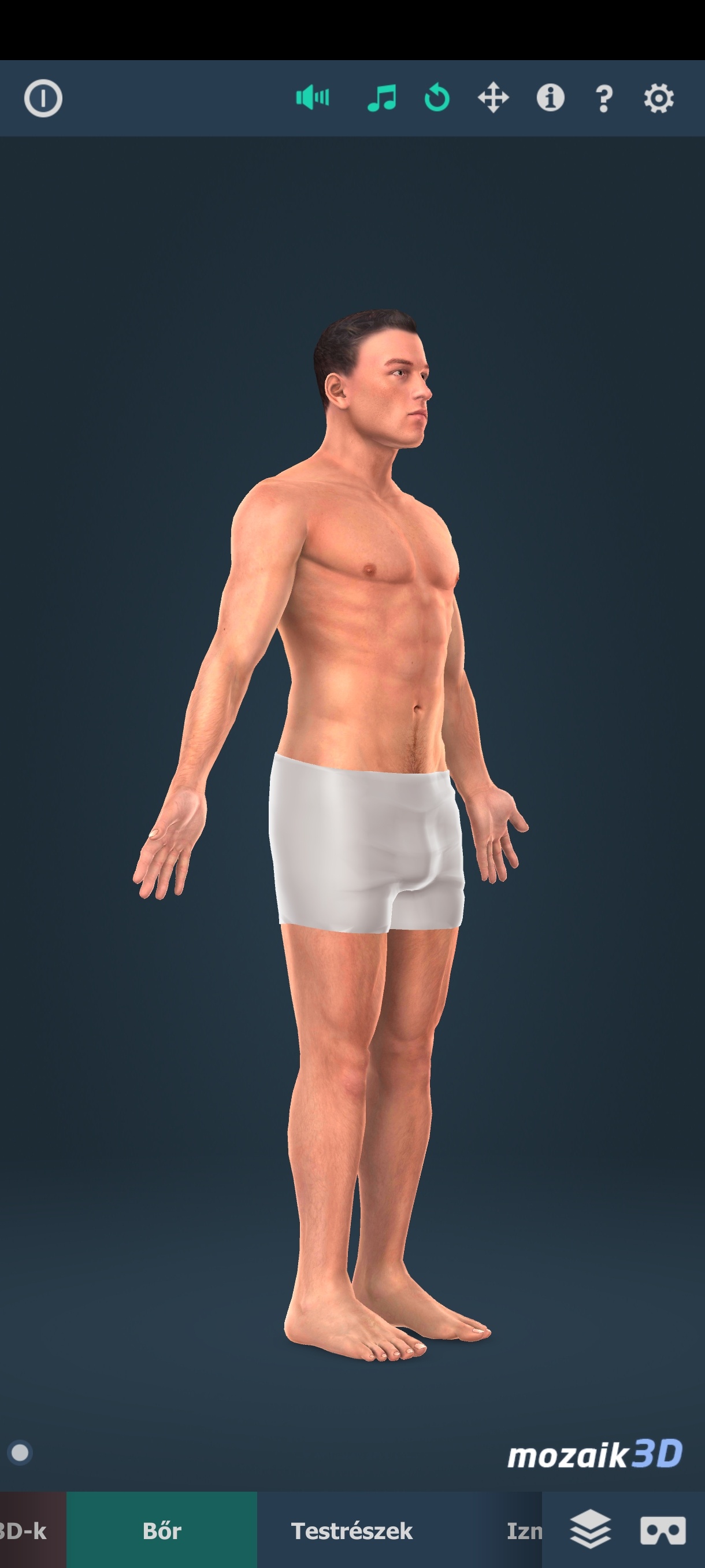 男性身体结构|最新纯净破解激活版免费下载