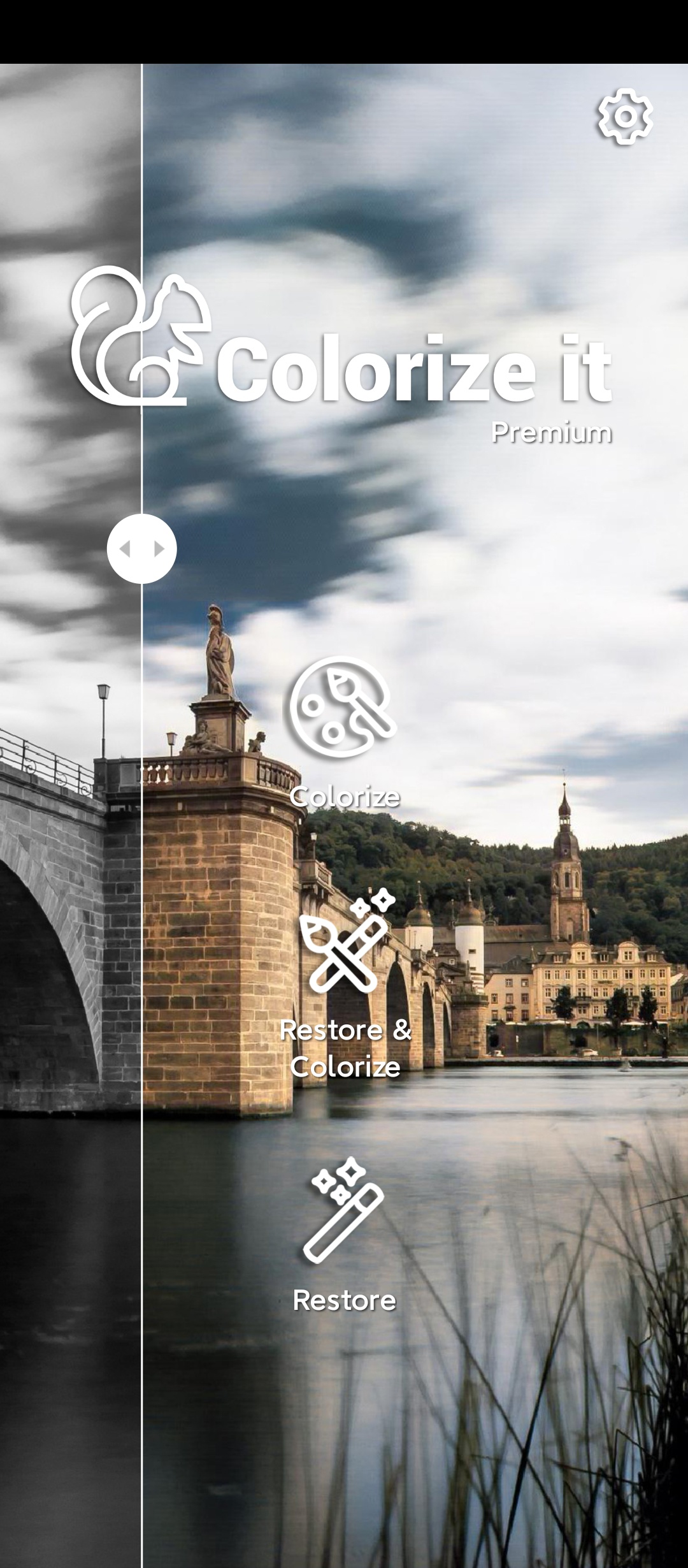 Colorize上色 高级版|最新纯净破解激活版免费下载