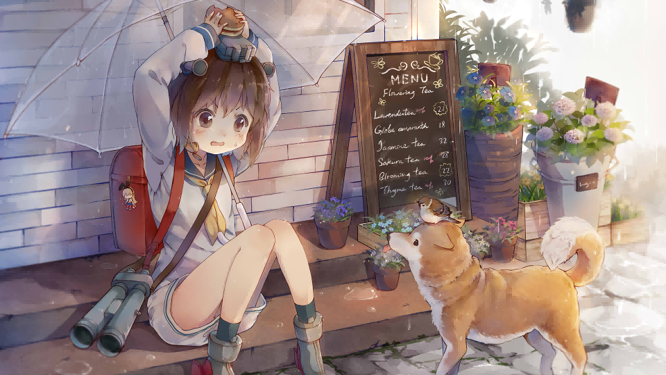 帝国时代2|Age of Empires II: Definitive Edition - The Mountain Royals最新版官方中文免费下载