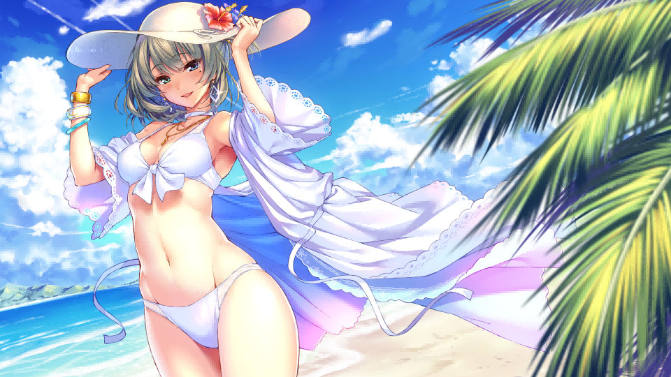 Aloha|最新纯净破解激活版免费下载