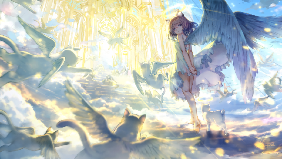 ArcPlayer|最新纯净破解激活版免费下载